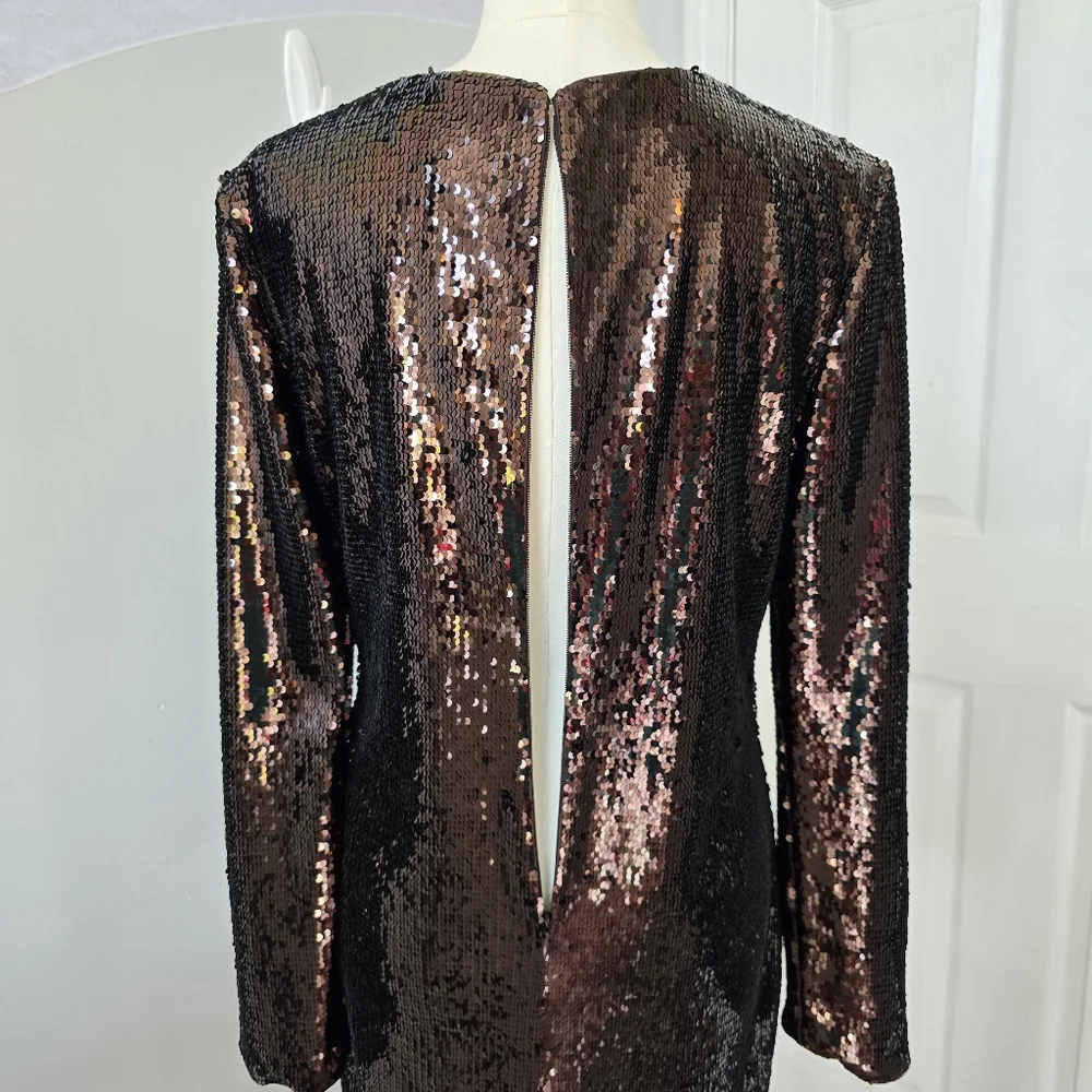 Banana Republic | Large | Chocolate Brown Stretch-Sequin Mini Dress - Picture 7 of 15